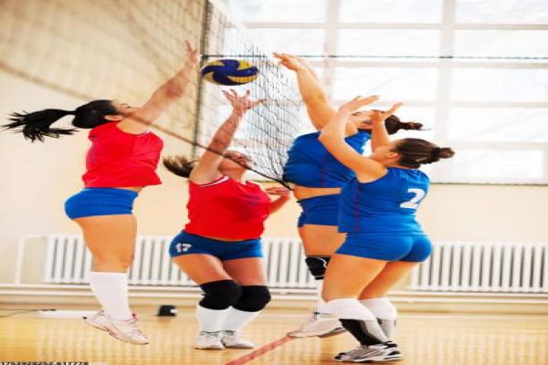 体育培训有限公司名称变更流程