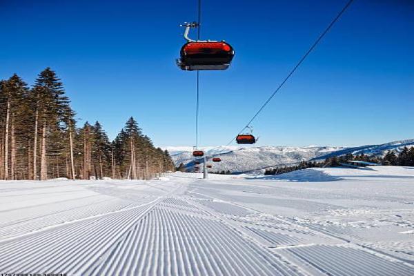 海外媒体如何评价中国体育发展